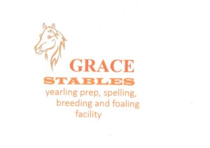 BSA KZN YEARLING SALE: GRACE STABLES