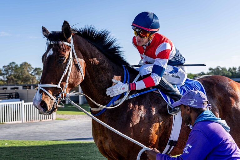 ANOTHER KZN BRED WINNER! CHERRY ANO