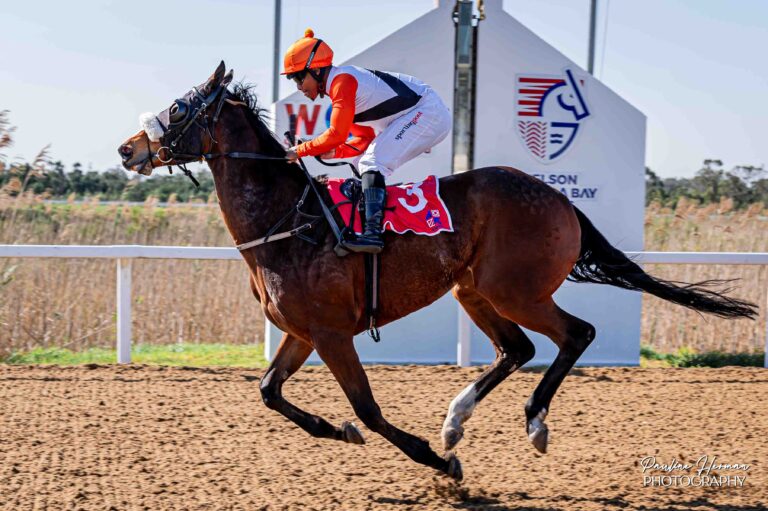 KZN BRED WINNER AT FAIRVIEW – ISLAND MASTER