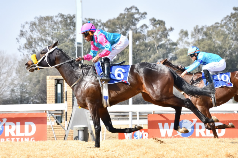 ANOTHER KZN BRED WINNER – APACHE SON