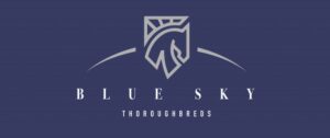 locked and loaded – blue sky thoroughbreds head to august 2yo sale