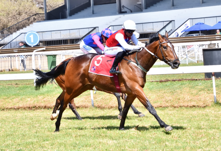 FIRST KZN BRED WINNER OF THE DAY – DARING DASH