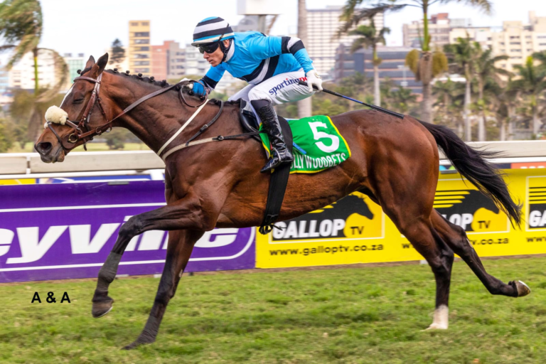 ITS A KZN BRED WINNER! INTUITIVE SPIRIT: HOLLYWOODBETS GREYVILLE