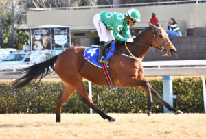 THIRD KZN BRED WINNER OF THE DAY – RISKY BUSINESS