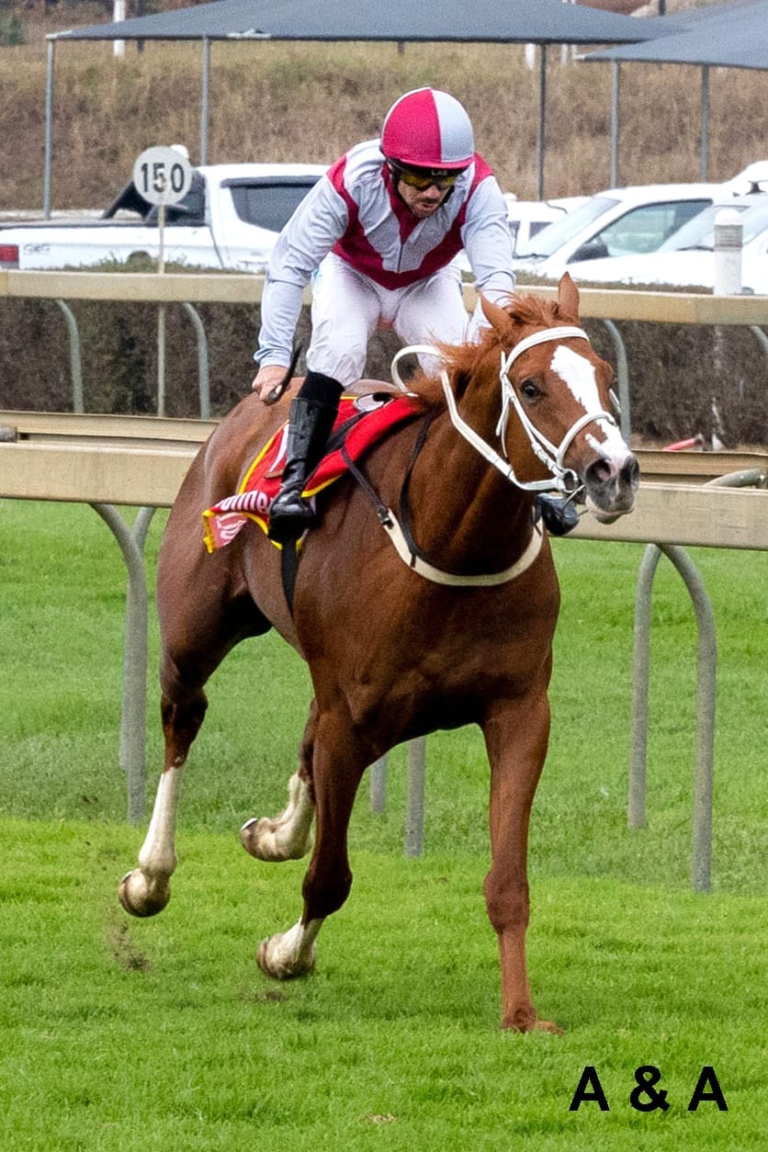 ITS A KZN BRED WINNER: ACTOR