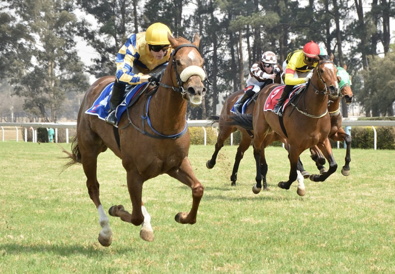 ANOTHER KZN BRED WINNER: ALONE TIME