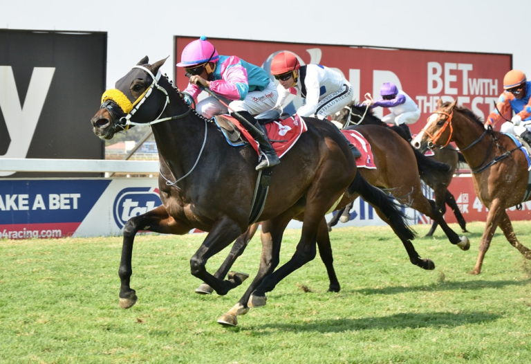 ITS A KZN BRED WINNER – APACHE SON