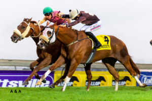 LAST RACE AND ITS ANOTHER KZN BRED WINNER – TERIYAKI