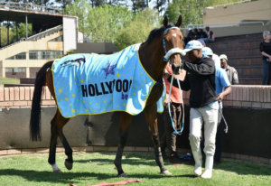 THE KZN BRED WINNERS JUST KEEP COMING – FLAG BEARER