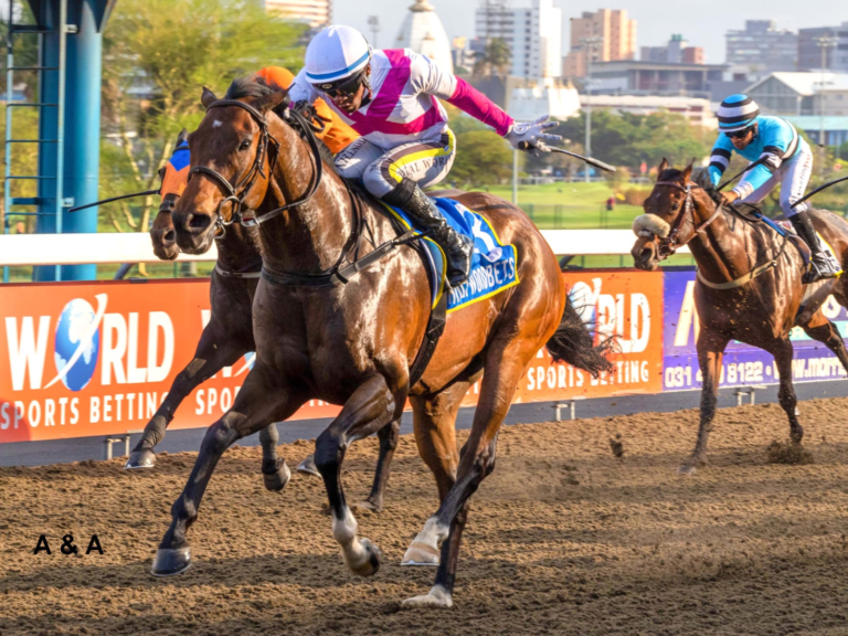 ANOTHER KZN BRED WINNER – GIAMBATTISTA