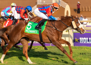 ANOTHER KZN BRED WINNER – HOT STRIKE RACE 7