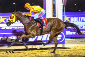 SECOND KZN BRED NIGHT RACING WINNER