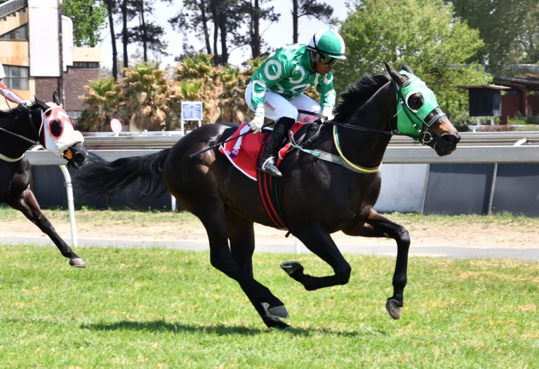 FIRST KZN BRED WINNER OF THE DAY: PACIFIC – RACE 2 VAAL