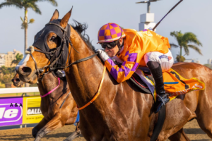 KZN BRED WINNER – HOLLYWOODBETS GREYVILLE: PROUD MASTER