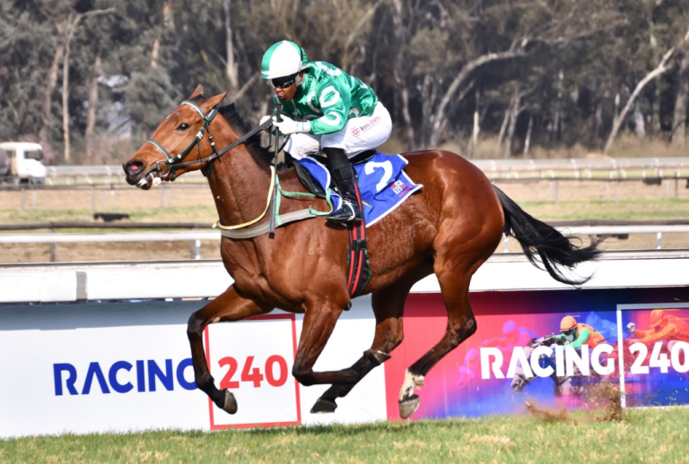 BOOM BOOM ANOTHER KZN BRED WINNER! RISKY BUSINESS