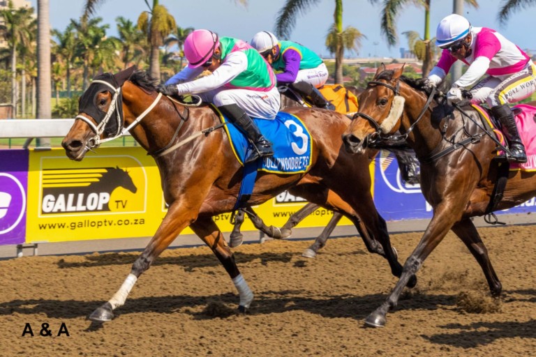 ANOTHER day, another KZN BRED WINNER – SKYTRIX