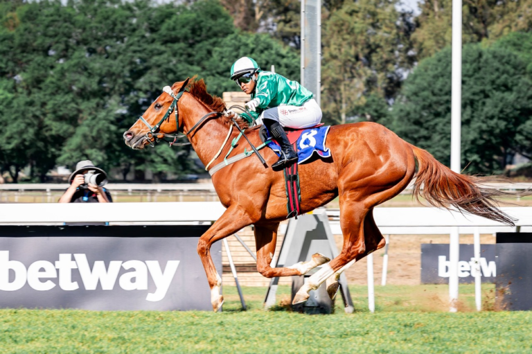 ITS A KZN BRED WINNER – ARGO ALLEY