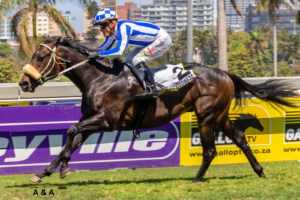 KZN BREDS ON A ROLL – ANOTHER WINNER; RACE 2 – BARRY DU GROND