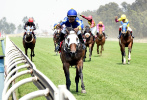 FIRST RACE OF THE DAY AND ITS A KZN BRED WINNER – CAT O CLOCK