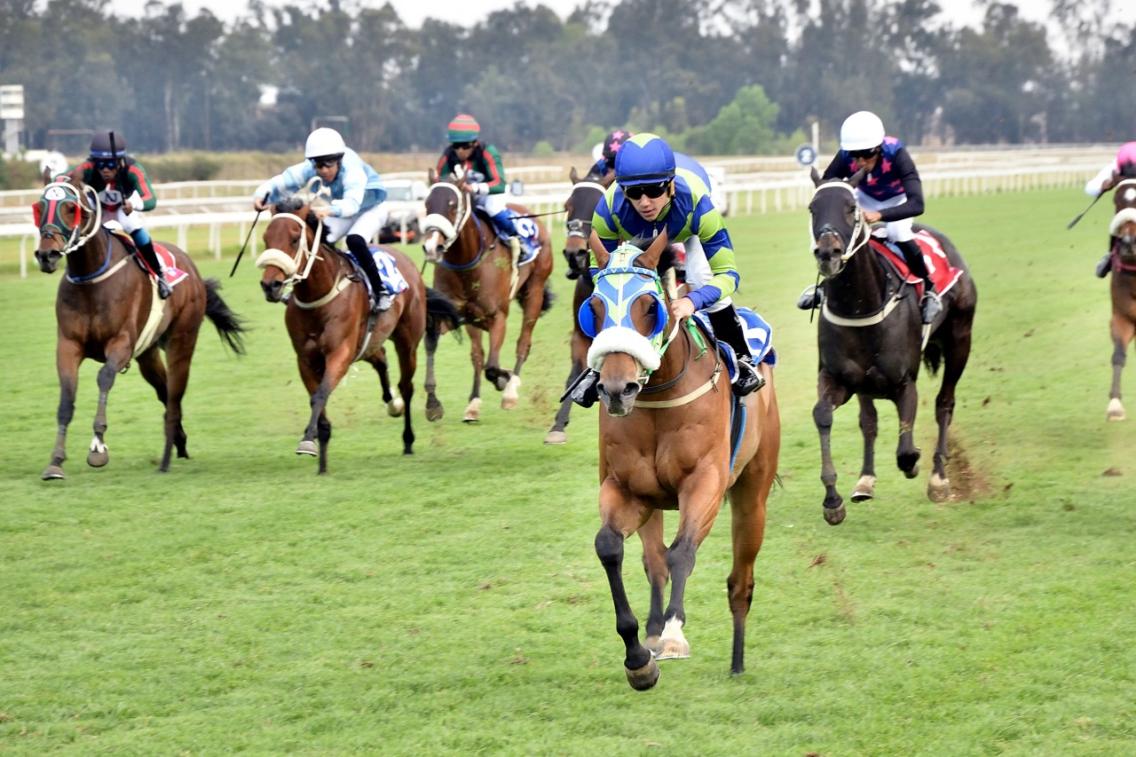 FINISHING WITH A FLOURISH AND A KZN BRED WINNER – COMING IN HOT