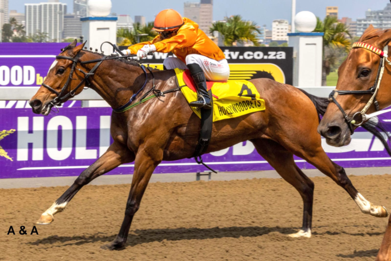 FIRST UP AND YES ITS A KZN BRED WINNER! GLAMORZ