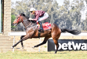 HATS OFF: FIRST KZN BRED WINNER FOR THE DAY: HAT TRICK OR TREAT