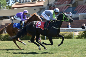 THIRD KZN BRED WINNER ON THE TROT: HAT’S LADY