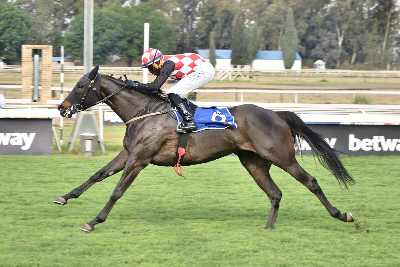 BRING IT ON! ANOTHER KZN BRED WINNER – TRIED AND TRUE