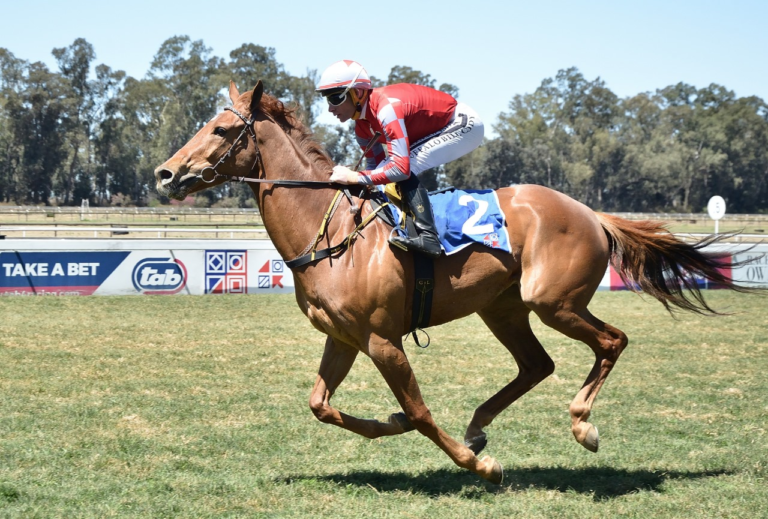 SECOND KZN BRED WINNER OF THE DAY: WE ARE THE LOGANS