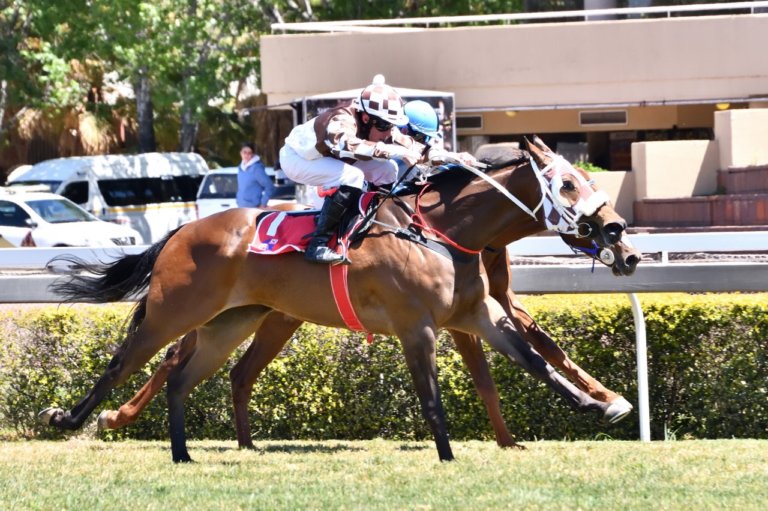 FIRST KZN BRED WINNER OF THE DAY: ZAFAR