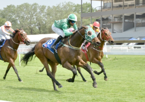 OUR FIRST KZN BRED WINNER OF THE AFTERNOON