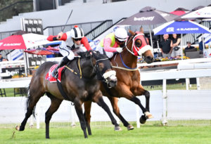 KZN WINNER AT TURFFONTEIN – HALBERDIER