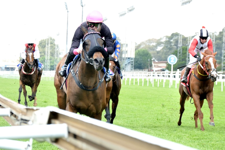 KZN BRED WINNER – MOUNT PILATUS