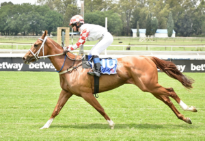 FIRST UP AND ITS A KZN BRED WINNER AT THE VAAL