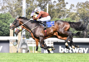 ANOTHER KZN BRED WINNER FOR BLUE SKY