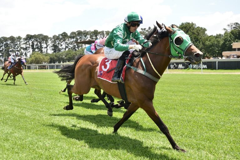 FIRST KZN BRED WINNER OF THE DAY – GAMER