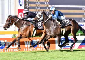 ITS ANOTHER KZN BRED WINNER! PLAYER