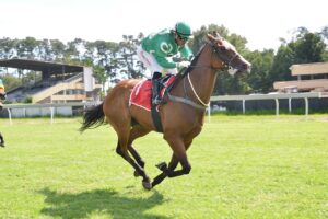 ITS A KZN BRED WINNER AT THE VAAL