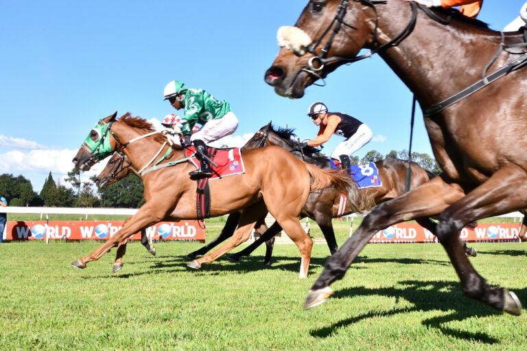 ITS ANOTHER WINNER FOR GRAYSTONE STUD!