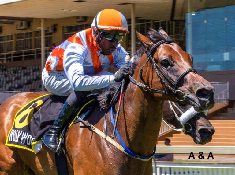 THE KZN BRED WINNERS JUST KEEP ON COMING!