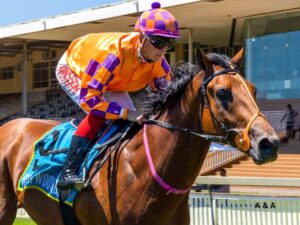 DEBUT WINNER – ITS A KZN BRED!