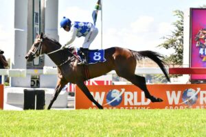 TS A GREAT DAY AT THE RACES FOR BUSH HILL STUD AND KZN BREDS!