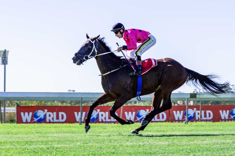 ITS A KZN BRED WINNER AT FAIRVIEW.