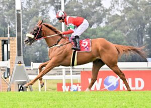 YES ITS A KZN BRED WINNER!