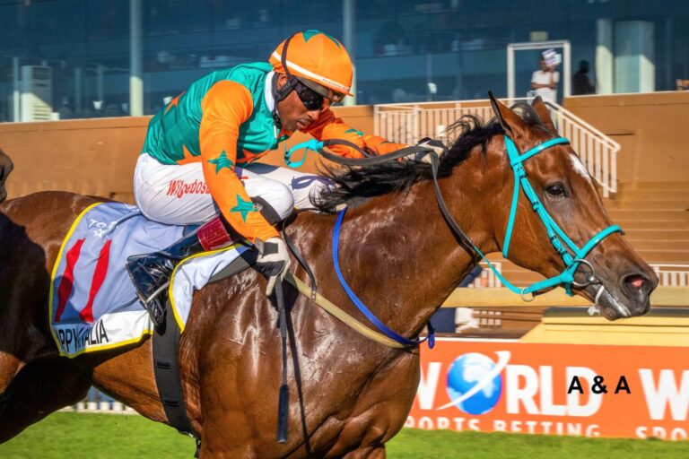 YES ITS ANOTHER KZN BRED WINNER!
