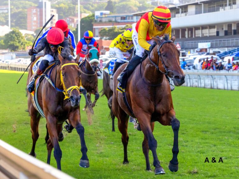 THIRD KZN BRED WINNER OF THE DAY