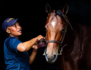 Beauty Ndlovu: Growing Futures at Bloomhill Stud