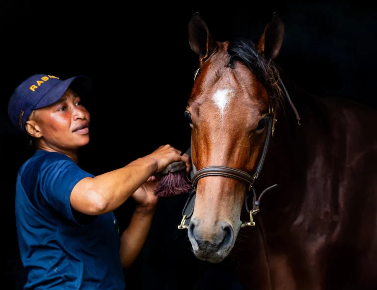 Beauty Ndlovu: Growing Futures at Bloomhill Stud
